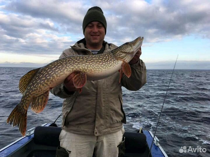 Рыбалка на Рыбинском водохранилище