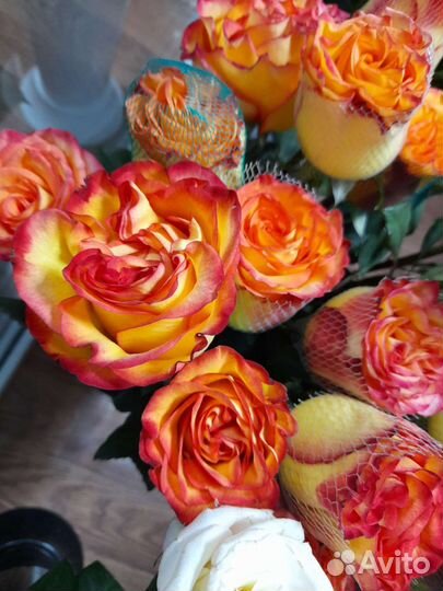 Цветы розы с доставкой