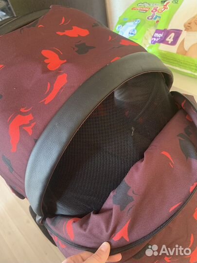 Коляска anex sport 2 в 1