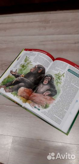 Книга новая