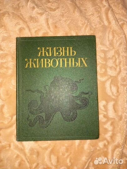 Энциклопедии Жизнь Животных