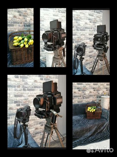 Фотостудия Королёв