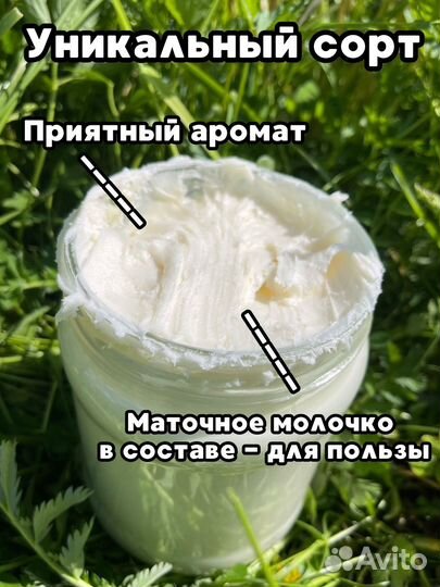 Мед аккураевый
