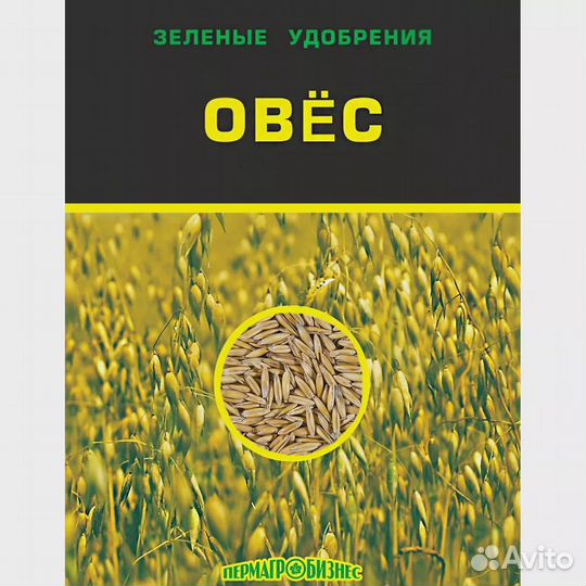 Овес (сидераты)