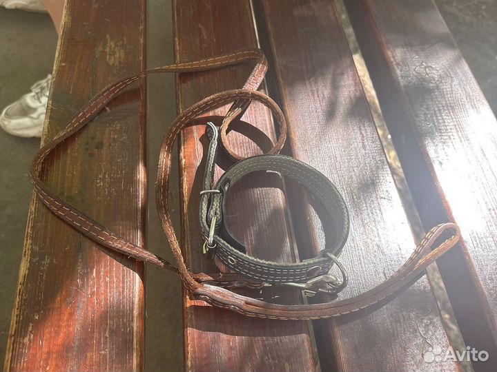 Поводок с ошейником для собак