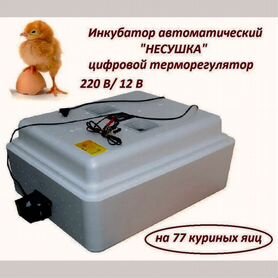 Инкубатор для яиц автоматический