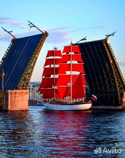 Картина по номерам 40x50 