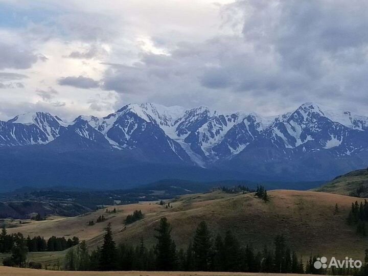 Видеомонтаж, создание видео, видеомонтажер