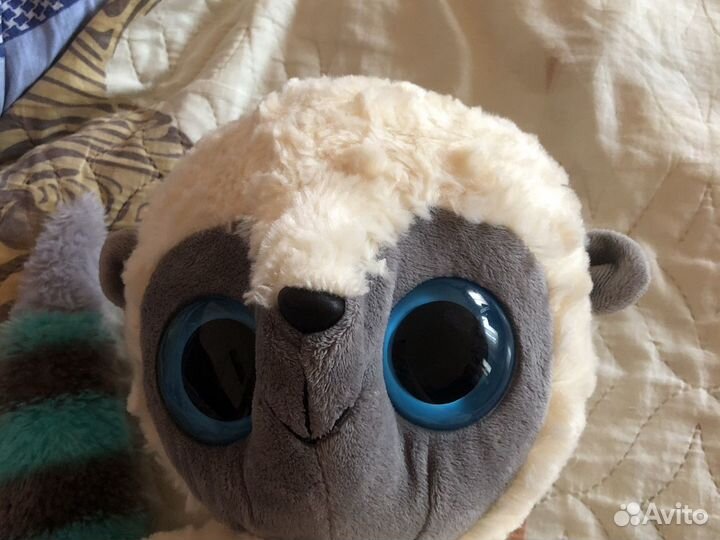 Лемур с бльшими глазами Юху