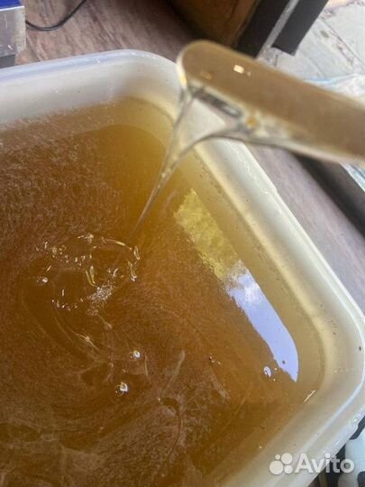 Мёд Лесной оптом