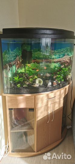 Аквариум с тумбой 240 литров