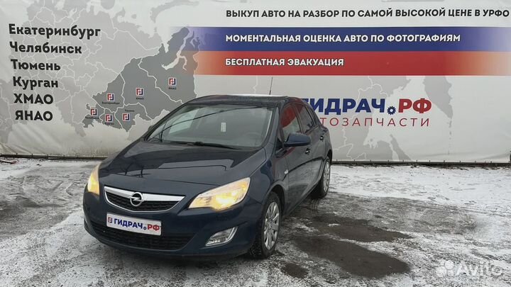 Плафон салонный Opel Astra (J) 13503059