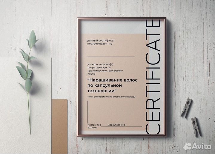 Веб дизайнер