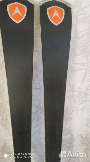 Горные лыжи