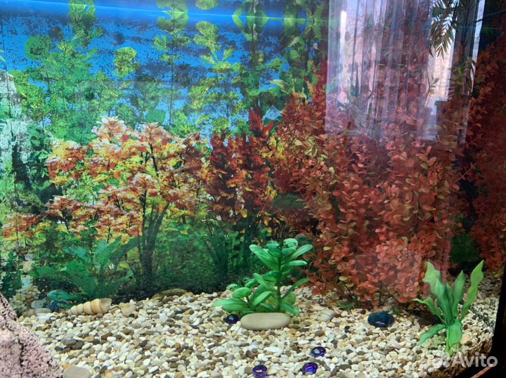 Аквариум 220 литров
