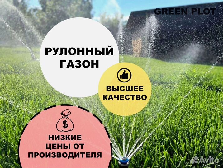 Рулонный газон под ключ с автополивом