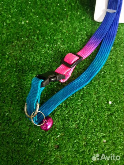 Поводок с ошейником