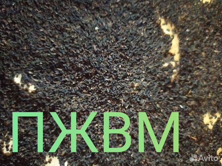 Пжвм, Огнёвка, восковая моль