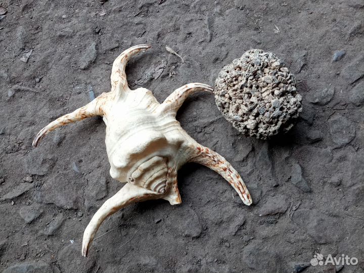 Аквариумные аксессуары