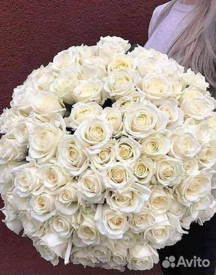 Высокие розы Гигантские розы Доставка цветов