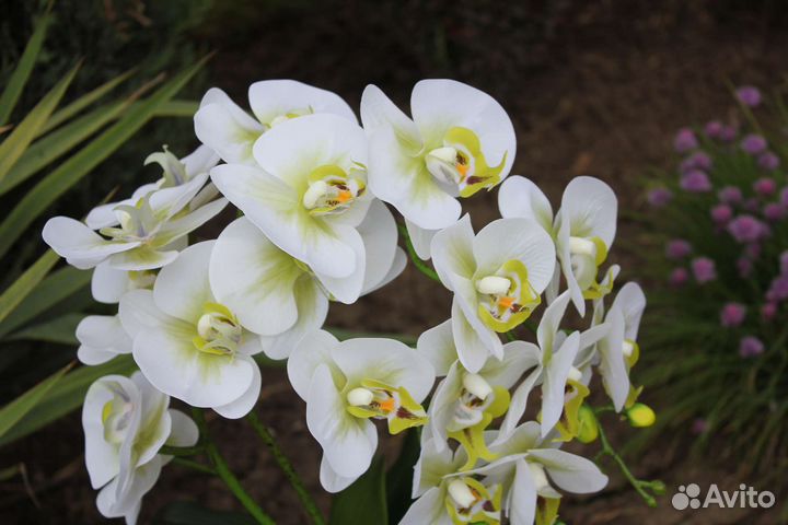 Орхидея (латексная) в вазе. Декор для дома