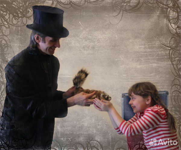 Фокусник Иллюзионист в Омске