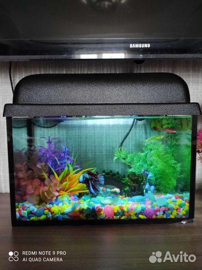 Аквариум