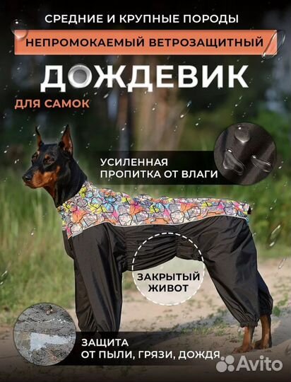 Дождевик для средней собаки