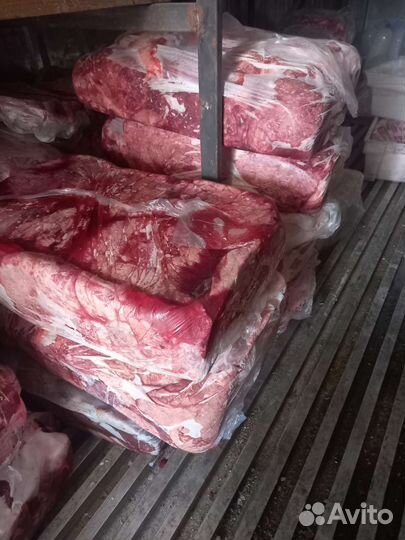 Мясо говядина для собак