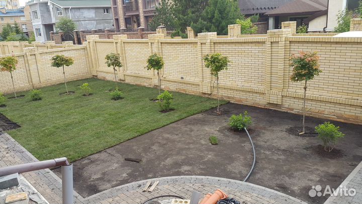 Рулоный газон