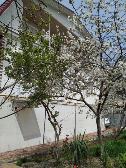 Дом 270 м² на участке 12 сот.