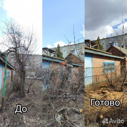 Спил деревьев, обрезка деревьев