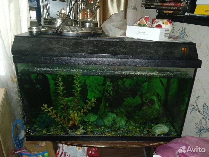 Аквариум
