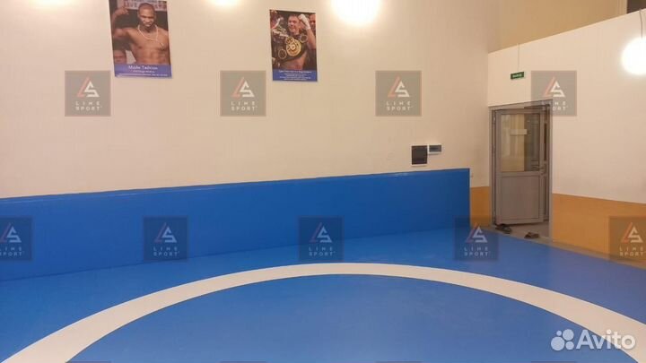 Борцовский ковер 12х12 двухцветный