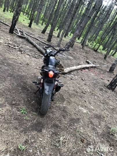 Stels flame 200