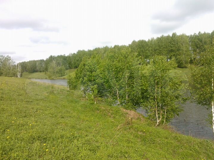 Участок 39 сот. (ИЖС)