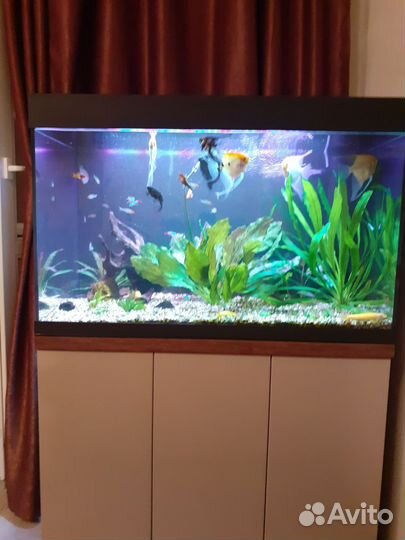 Аквариум с тумбой 160л и без тумбы 180л