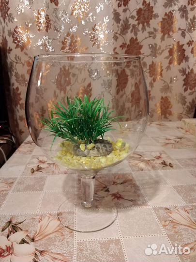 Аквариум бокал 3 литра