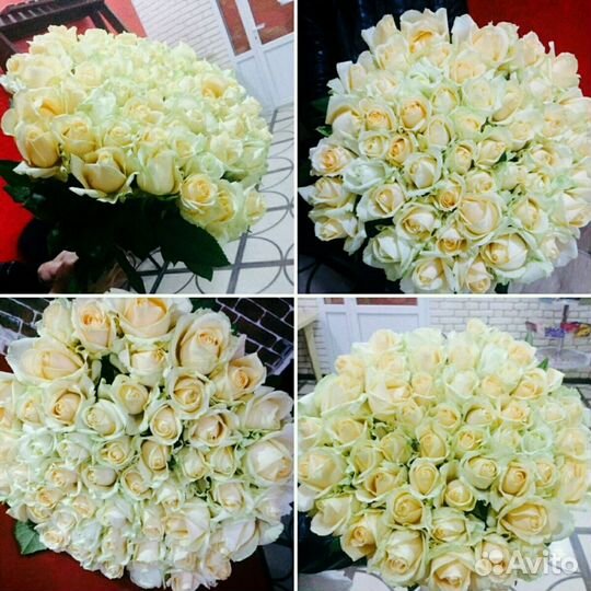 Цветы. 51 роза 50см. Доставка цветов