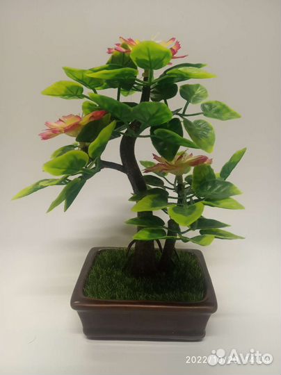 Искусственные растения для декора