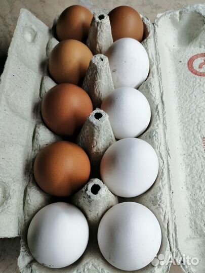 Фермерские продукты