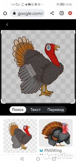 Мясо домашней индейки