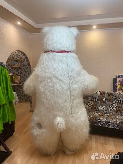 Готовый бизнес Белый медведь 2.6м