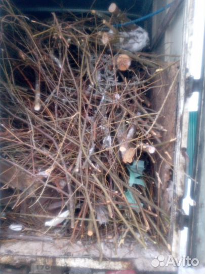 Вывоз мусора