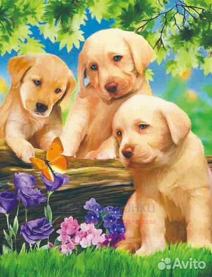 Алмазная мозаика 40x50 Три милых щенка и бабочка