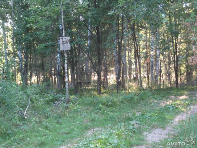 Участок 6 сот. (СНТ, ДНП)