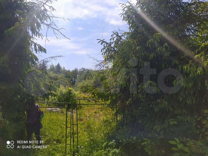 Участок 6,2 сот. (СНТ, ДНП)