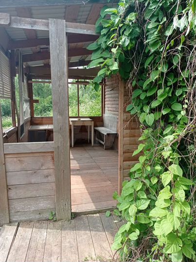 Дом 55 м² на участке 16 сот.