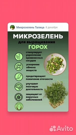 Зеленый горошек