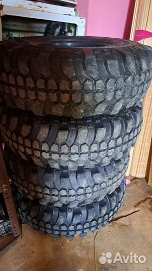Forward Forward Safari 500 10/20 R31